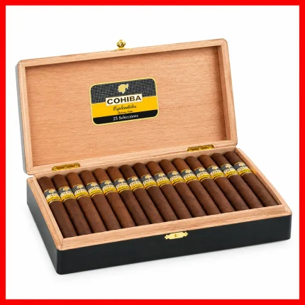 Cohiba Maduro 5 Magicos cigar product pack on a clean white background.