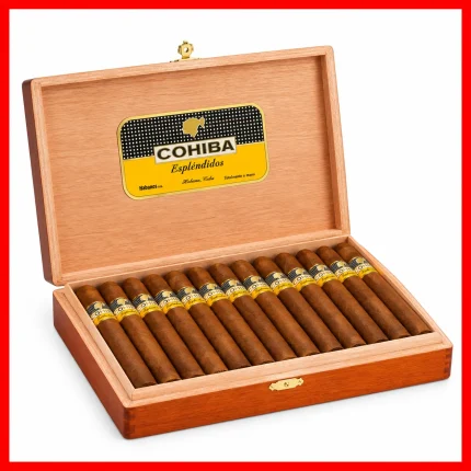 Cohiba Piramides Extra cigar product pack on a clean white background.