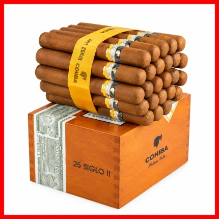 Cohiba Siglo II (2) cigar product pack on a clean white background.